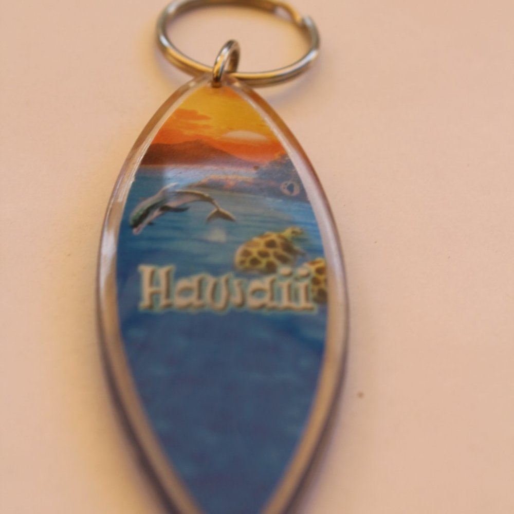 Hawaii NWOT Key chain Keyring